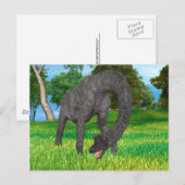 ブラチオサウルス恐竜 ポストカード (正面/裏面)