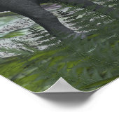 ブラチオサウルス食べ物恐竜のシダ – 3D 描写 ポスター (角)