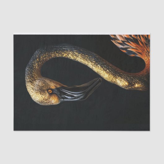 ブラックと金ゴールドフラミンゴ7 薄葉紙 (正面)