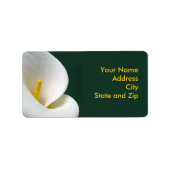 ブラックのカラ ラベル (正面)