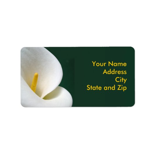 ブラックのカラ ラベル (正面)