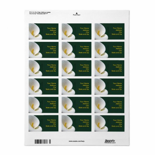 ブラックのカラ ラベル (フルシート)