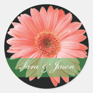 ブラックのステッカーにピンク結婚のガーベラデイジー ラウンドシール