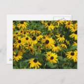 ブラックアイスザンズ ポストカード (正面/裏面)