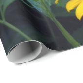 ブラックアイズサンズラッピング紙 ラッピングペーパー (ロールコーナー)