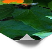 ブラックアイズスーザン ポスター (角)