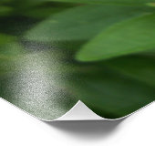 ブラックアイドスーザンシッかわいらしチ フォトプリント            (角)