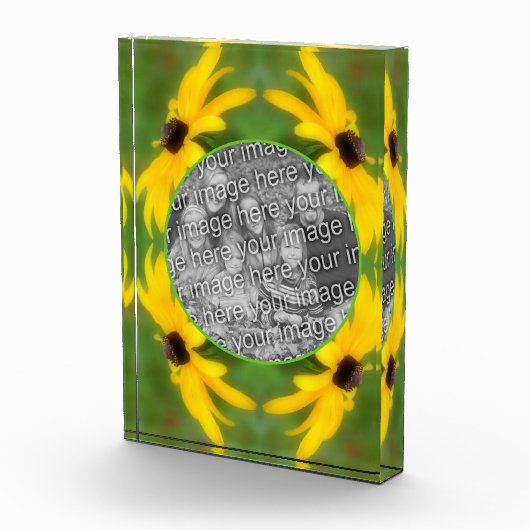 ブラックアイドスーザンデイジー独自の作成 フォトブロック (右)