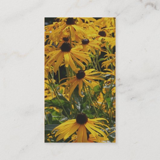 ブラックアイドスーザンフラワーフォトグラフィー名刺 名刺 (裏面)