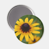 ブラックアイドスーザンフラワーフォトマグネットのバグ マグネット (正面/裏面)