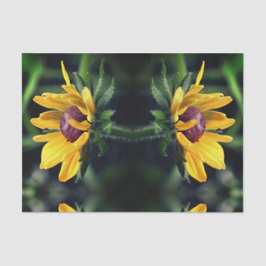 ブラックアイドスーザン展開抽象芸術切り離 薄葉紙 (正面)