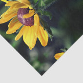 ブラックアイドスーザン展開抽象芸術切り離 薄葉紙 (詳細)