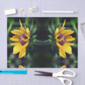 ブラックアイドスーザン展開抽象芸術切り離 薄葉紙 (クラフト)