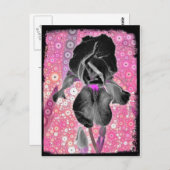 ブラックアイリスポストカード ポストカード (正面/裏面)