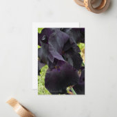 ブラックアイリス ノートカード (正面/裏面インサイチュ)