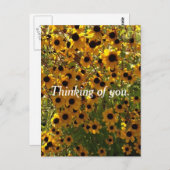 ブラックアイードスーザンの花と思いやり ポストカード (正面/裏面)