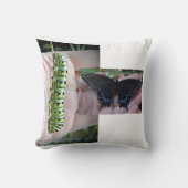 ブラックアゲハチョウキャタピラー/バタフライ クッション (正面)