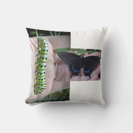 ブラックアゲハチョウキャタピラー/バタフライ クッション