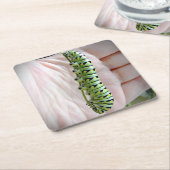 ブラックアゲハチョウキャタピラー/バタフライ スクエアペーパーコースター (アングル)