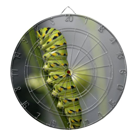 ブラックアゲハチョウキャタピラー（パルスリーワーム）オンDil ダーツボード (正面)