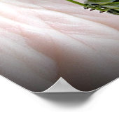 ブラックアゲハチョウキャタピラー ポスター (角)