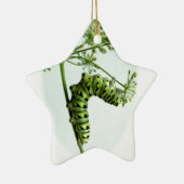 ブラックアゲハチョウキャタピラ食べーズパセリ セラミックオーナメント (右)