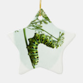 ブラックアゲハチョウキャタピラ食べーズパセリ セラミックオーナメント (正面)