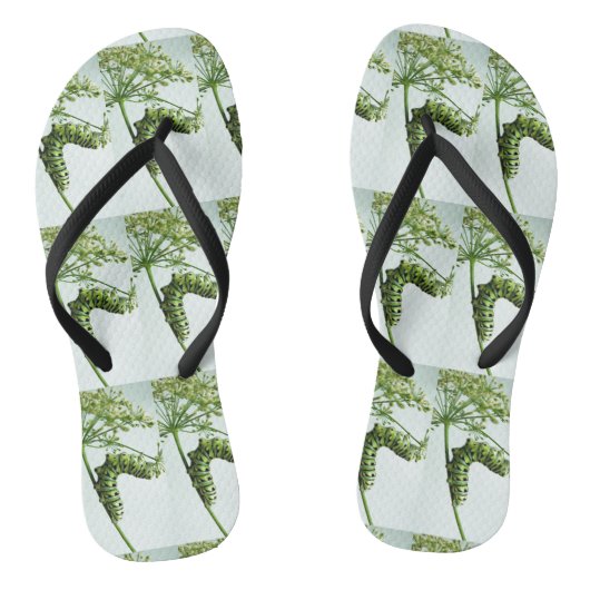 ブラックアゲハチョウキャタピラ食べーズパセリ ビーチサンダル (ソール)