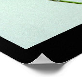 ブラックアゲハチョウキャタピラ食べーズパセリ ポスター (角)