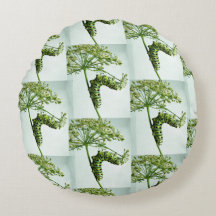 ブラックアゲハチョウキャタピラ食べーズパセリ