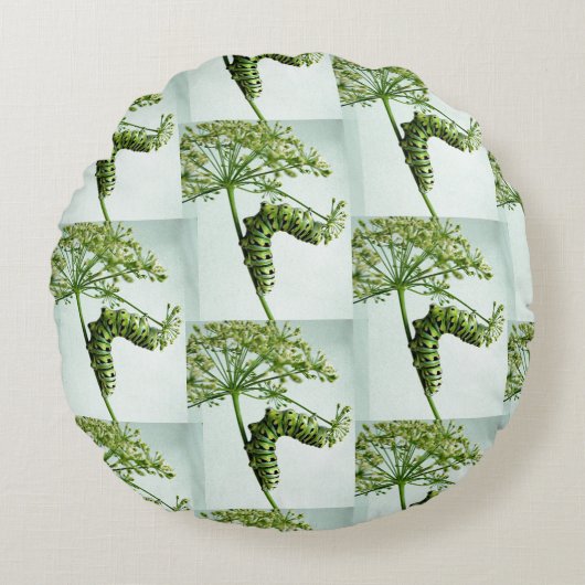 ブラックアゲハチョウキャタピラ食べーズパセリ ラウンドクッション (正面)