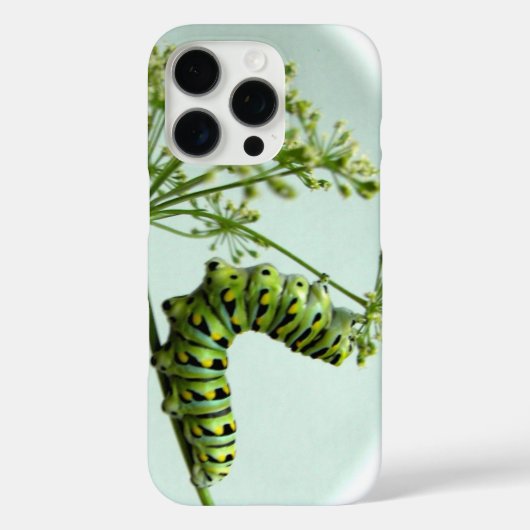 ブラックアゲハチョウキャタピラ食べーズパセリ Case-Mate iPhoneケース (裏面)
