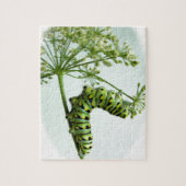 ブラックアゲハチョウキャ食べタピラーパセリ ジグソーパズル (縦)