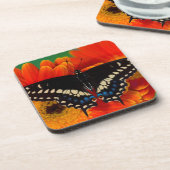 ブラックアゲハチョウバタフライオンゲルベリアデイジー コースター (左側)