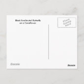 ブラックアゲハチョウバタフライオンコンフロアーハガキ ポストカード (裏面)