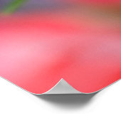 ブラックアゲハチョウバタフライオン《植物》百日草 ポスター (角)