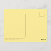 ブラックアゲハチョウバタフライピンクエキナセアフラワーズ ポストカード (裏面)