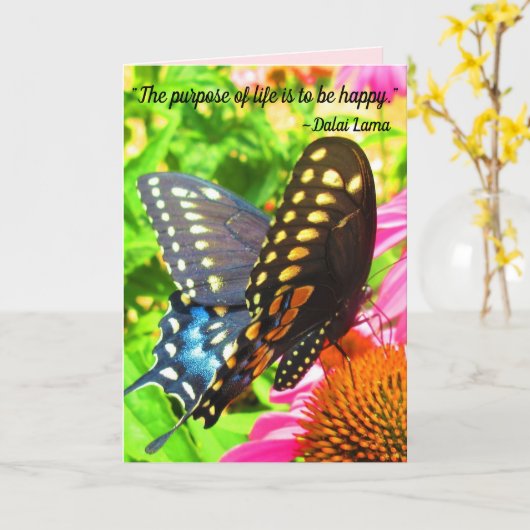 ブラックアゲハチョウバタフライピンクエキナセア花 カード (黄色い花)
