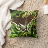 ブラックアゲハチョウバタフライ自然撮影 クッション (ブランケット)