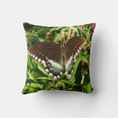 ブラックアゲハチョウバタフライ自然撮影 クッション (裏面)