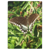 ブラックアゲハチョウバタフライ自然撮影 クリップボード (裏面)