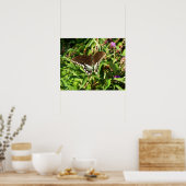 ブラックアゲハチョウバタフライ自然撮影 ポスター (キッチン)