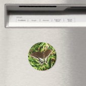 ブラックアゲハチョウバタフライ自然撮影 マグネット (インサイチュ (食洗機))