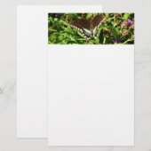 ブラックアゲハチョウバタフライ自然撮影 便箋 (正面/裏面)