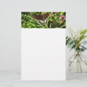 ブラックアゲハチョウバタフライ自然撮影 便箋 (スタンド正面)