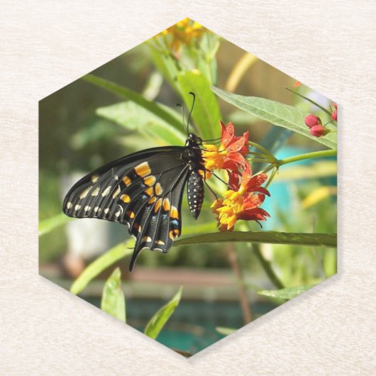 ブラックアゲハチョウバタフライ#2 ペーパーコースター (正面)