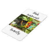 ブラックアゲハチョウバタフライ#2 マグネット (左側)