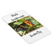 ブラックアゲハチョウバタフライ#2 マグネット (右側)