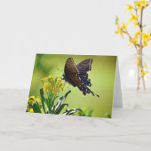 ブラックアゲハチョウ聖なる書物、 経典カード詩編119:103 カード (黄色い花)