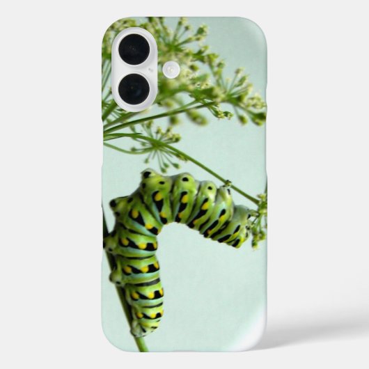 ブラックアゲハチョウ食べキャタピラーのパセリのケース Case-Mate iPhoneケース (裏面)